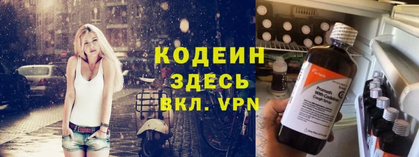 Альфа ПВП Лагань