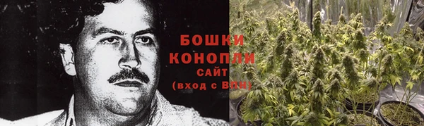 Альфа ПВП Лагань