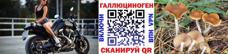 где продают наркотики  Мелеуз  Галлюциногенные грибы прущие грибы 