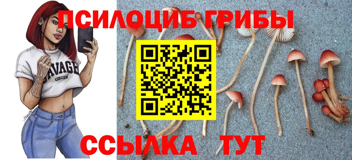 Галлюциногенные грибы GOLDEN TEACHER  Мелеуз  Галлюциногенные грибы Cubensis 